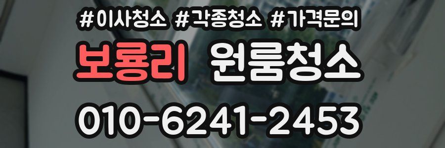 보룡리 이사청소