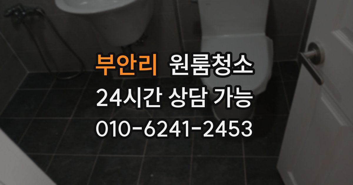 부안리 입주청소