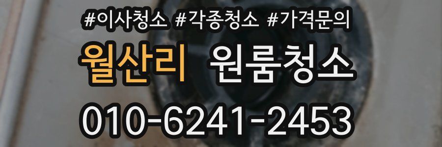 월산리 이사청소