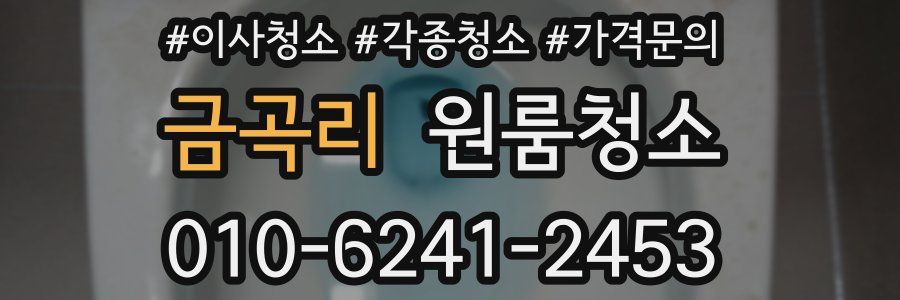 금곡리 이사청소