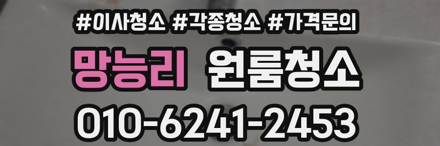 망능리 이사청소