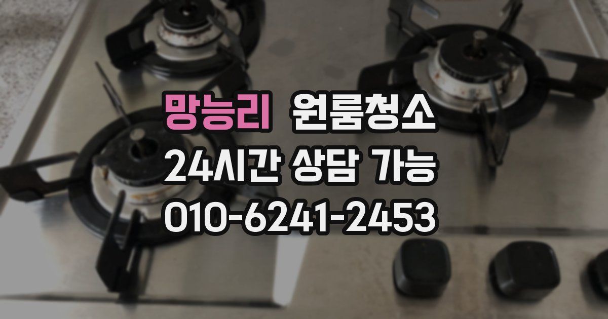 망능리 입주청소