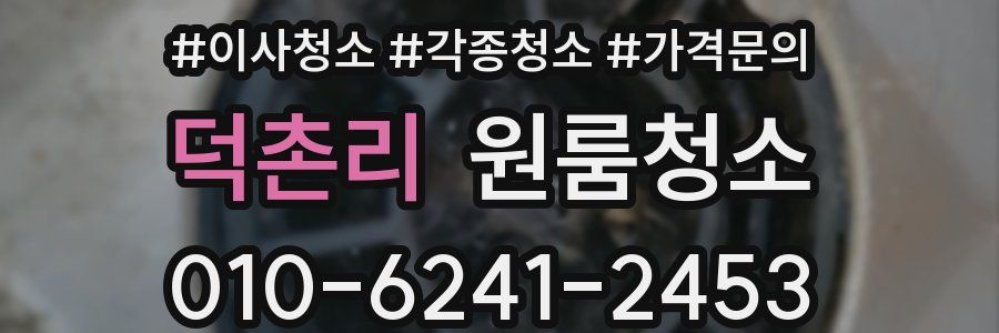 덕촌리 이사청소