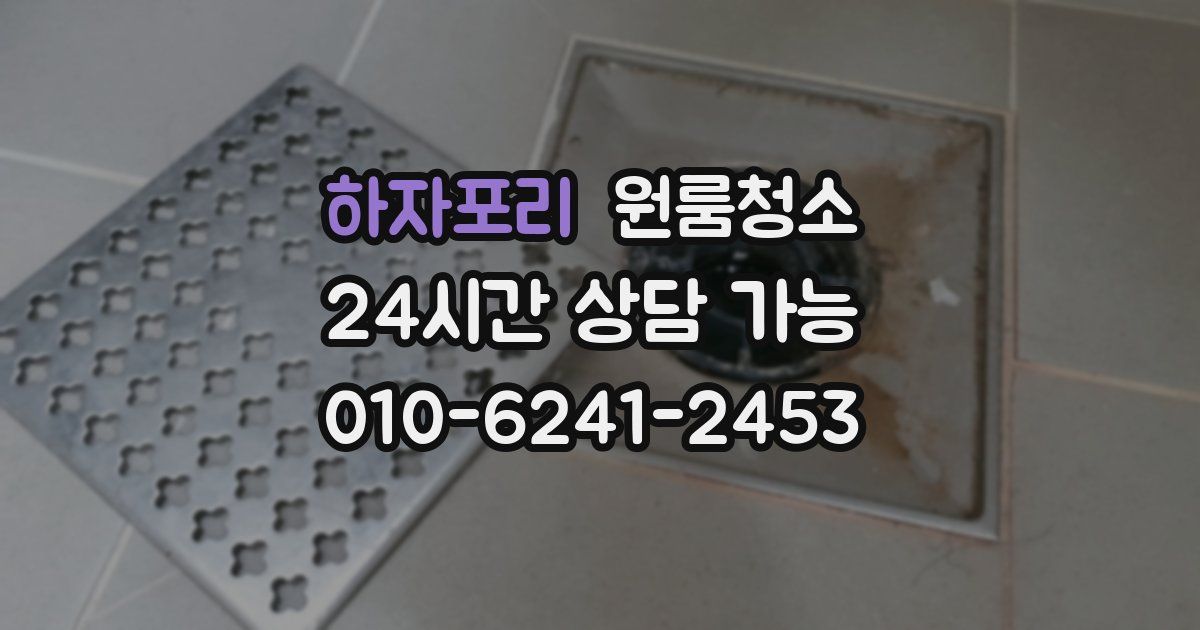 하자포리 입주청소