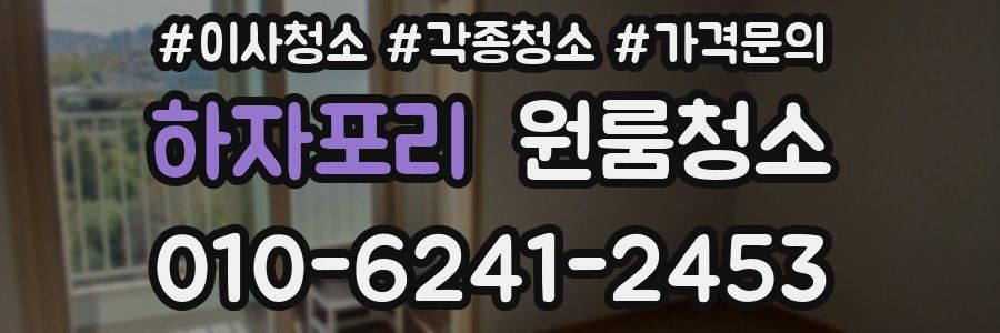 하자포리 이사청소