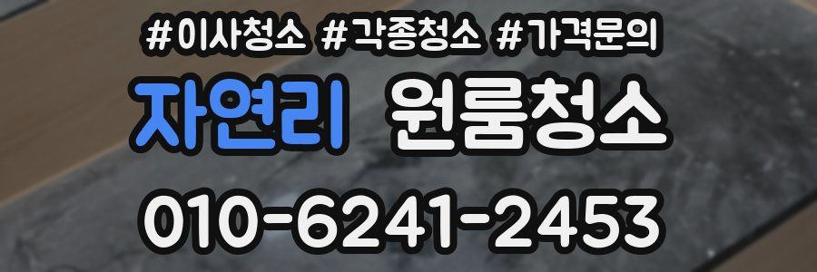 자연리 이사청소