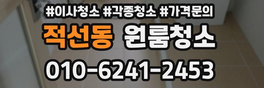 적선동 이사청소