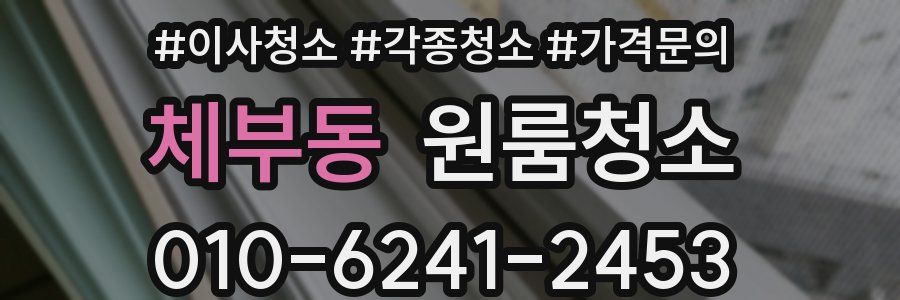 체부동 이사청소