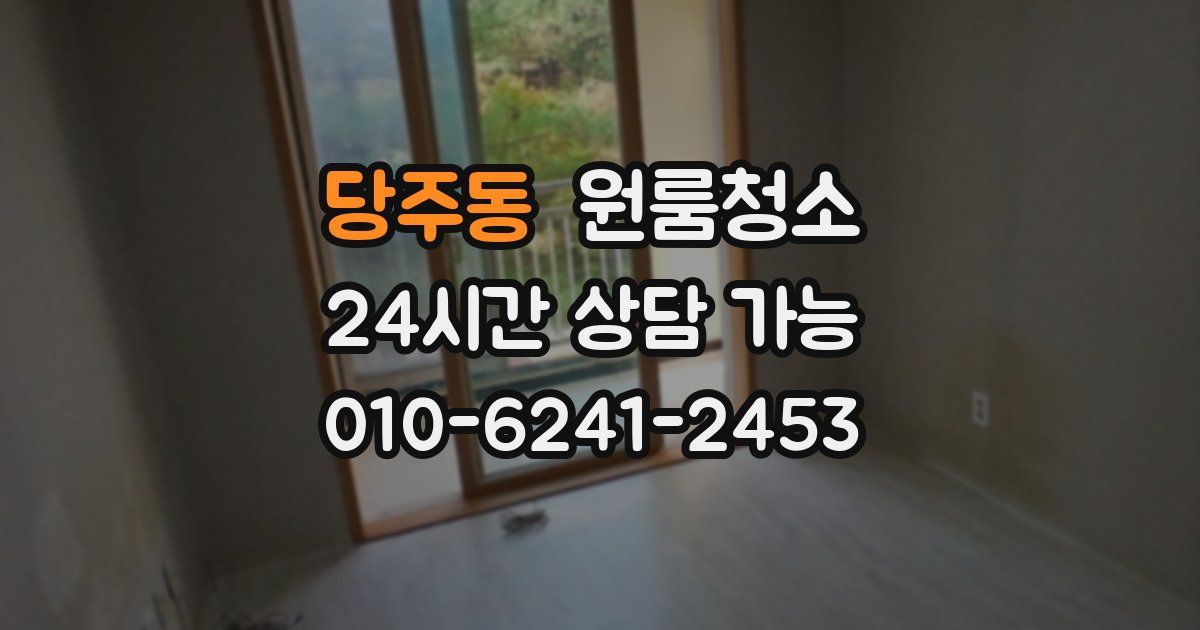 당주동 입주청소