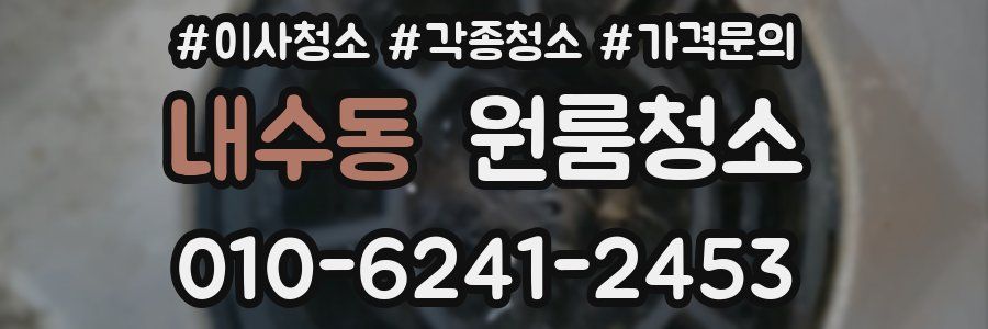 내수동 이사청소