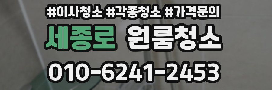 세종로 이사청소