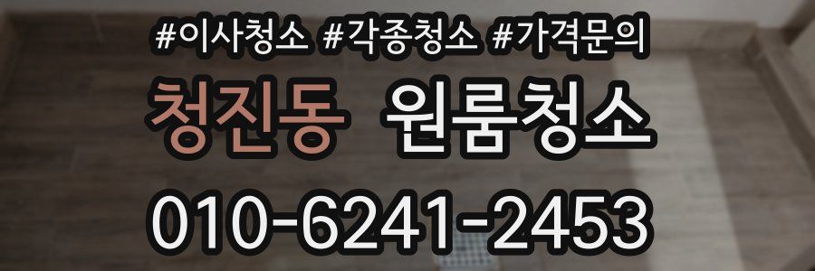 청진동 이사청소