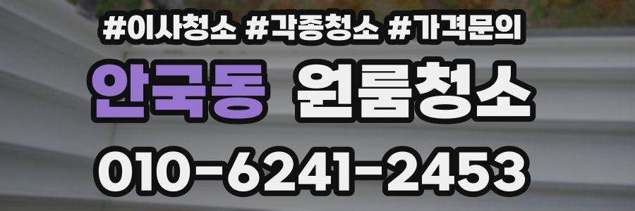 안국동 이사청소