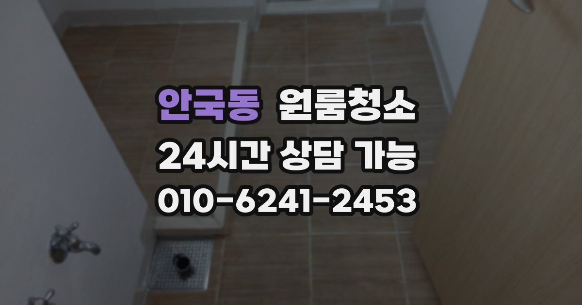 안국동 입주청소