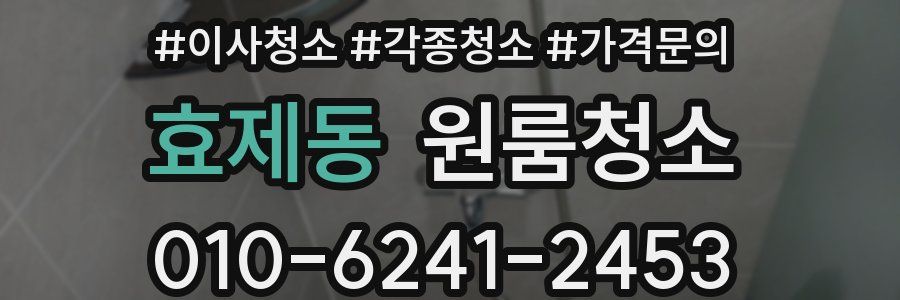 효제동 이사청소