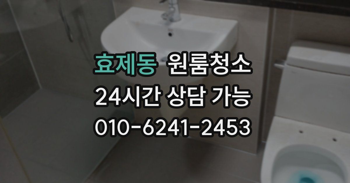 효제동 입주청소