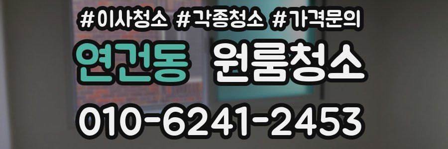 연건동 이사청소