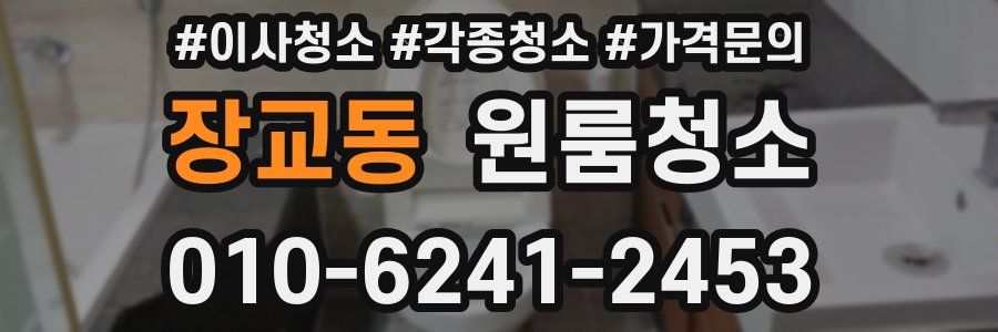 장교동 이사청소
