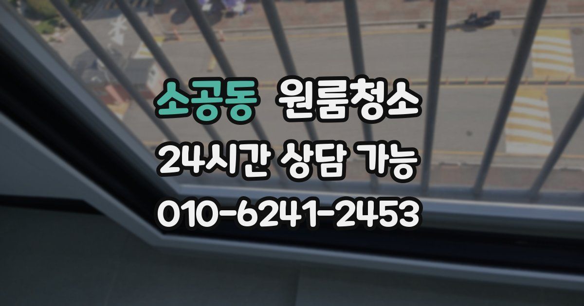 소공동 입주청소