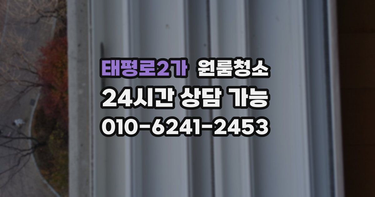 태평로2가 입주청소