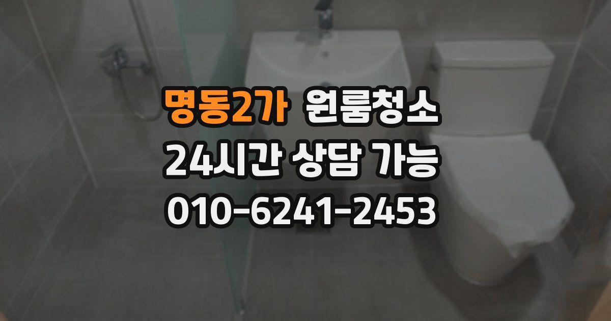 명동2가 입주청소