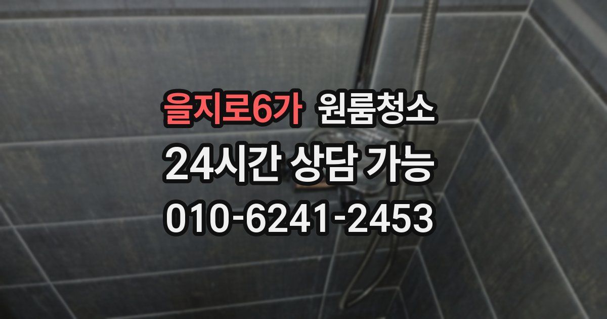 을지로6가 입주청소