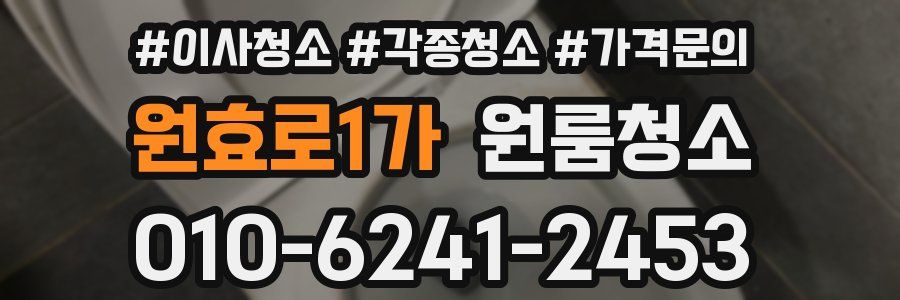 원효로1가 이사청소