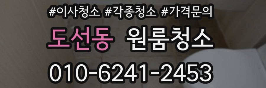 도선동 이사청소