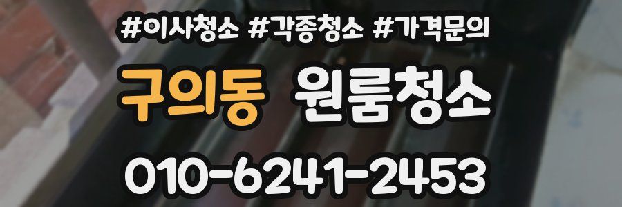 구의동 이사청소