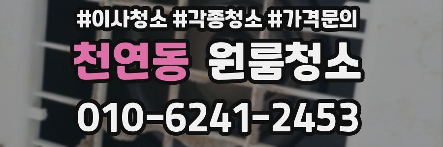 천연동 이사청소