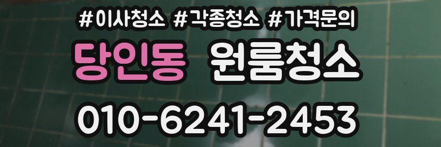 당인동 이사청소