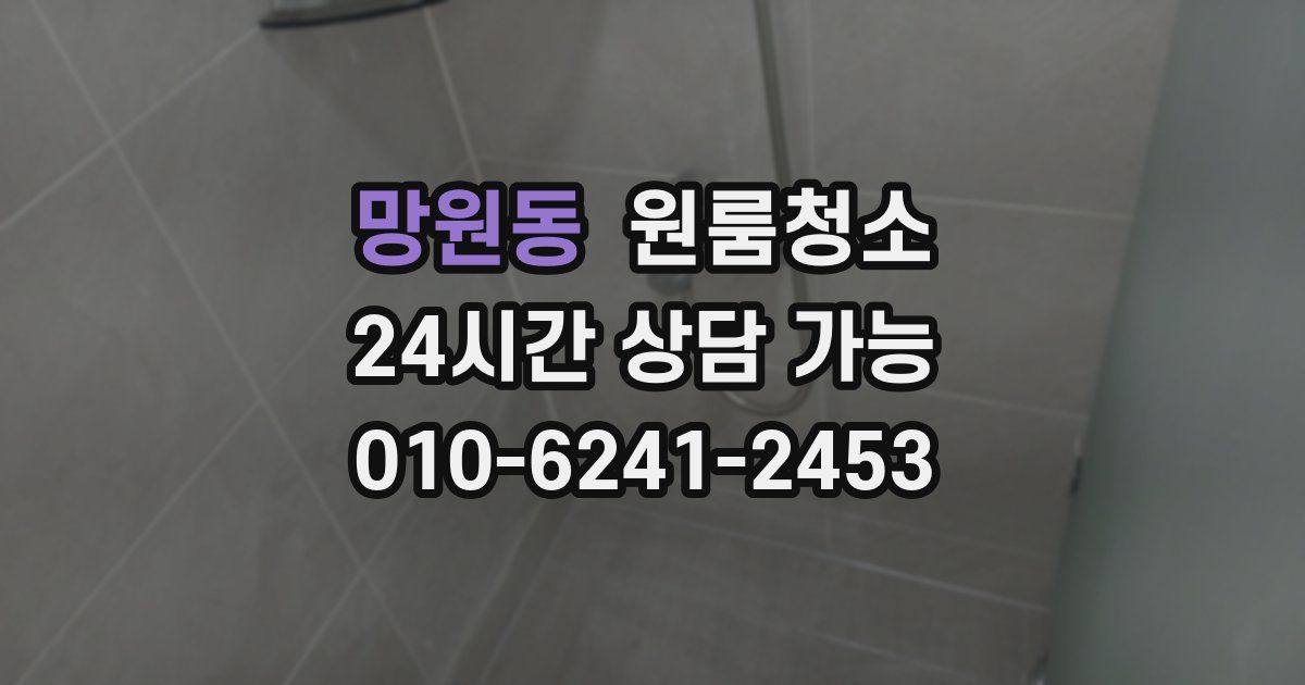 망원동 입주청소