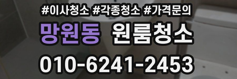 망원동 이사청소