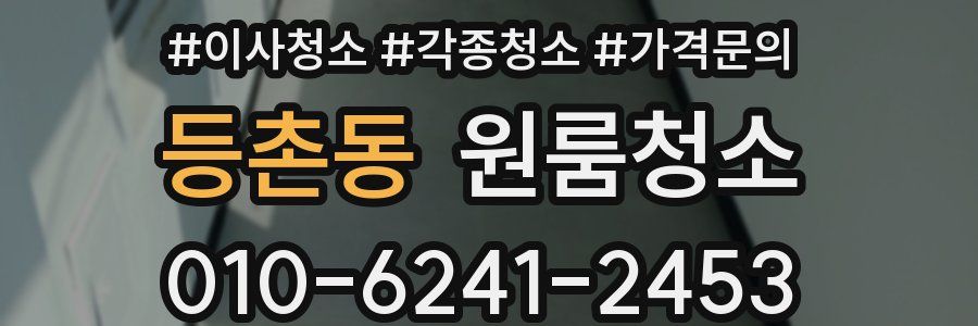 등촌동 이사청소