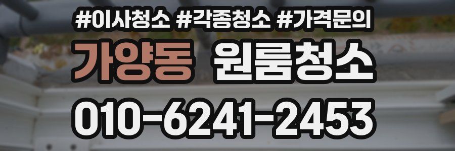 가양동 이사청소