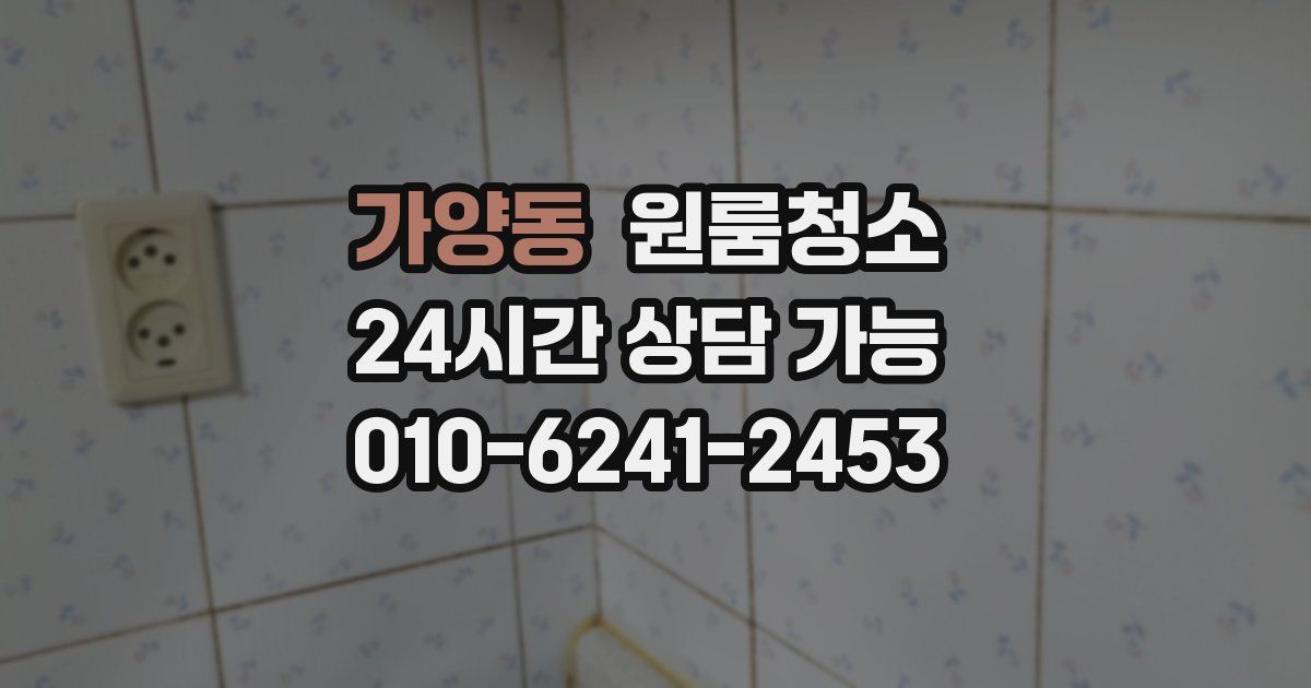 가양동 입주청소