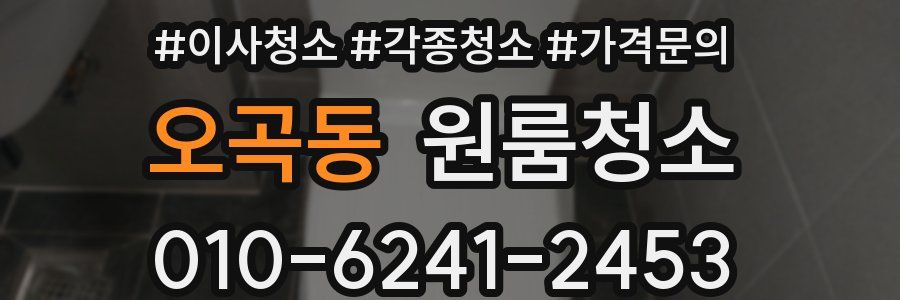 오곡동 이사청소