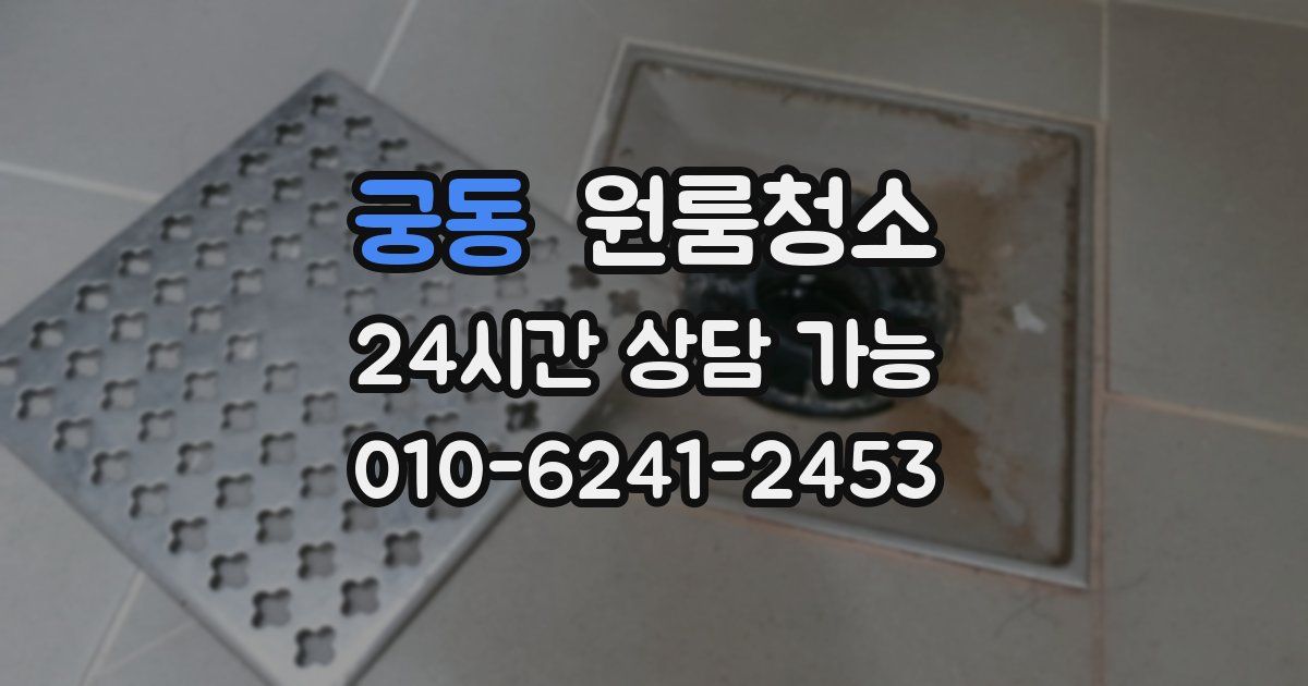 궁동 입주청소