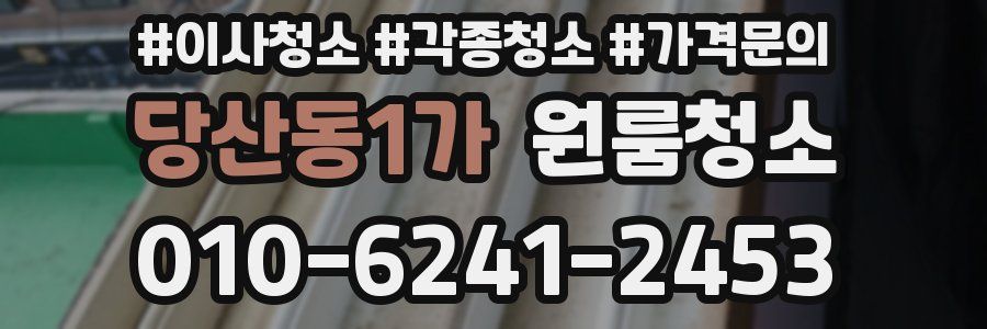 당산동1가 이사청소