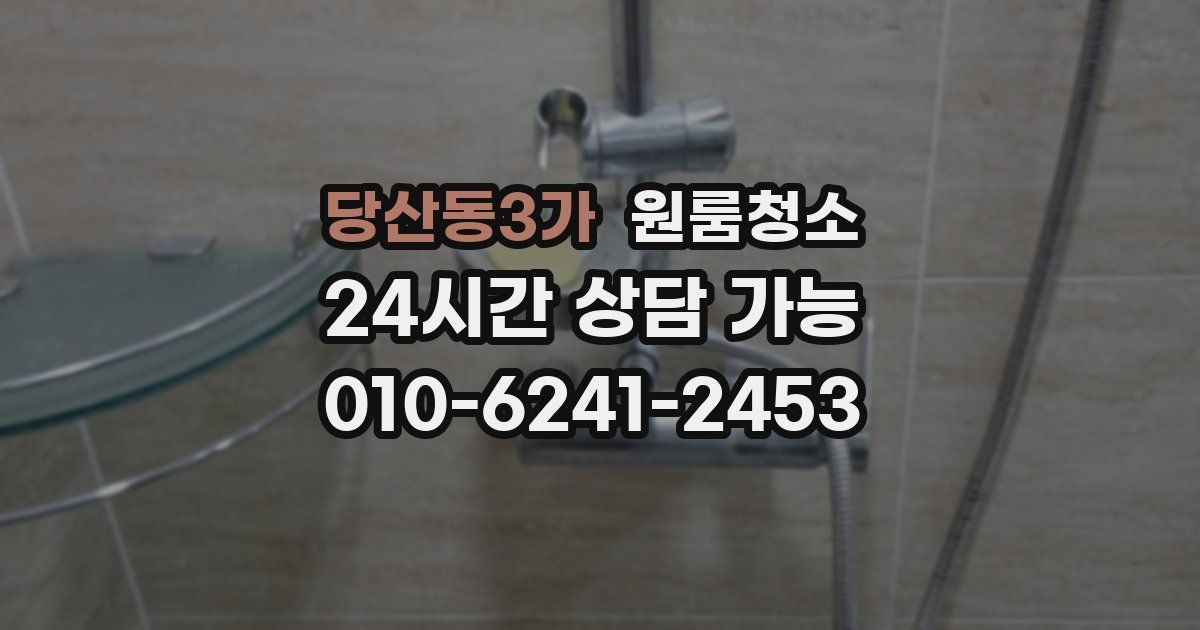 당산동3가 입주청소