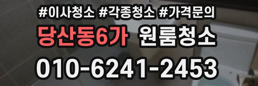 당산동6가 이사청소