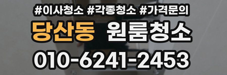 당산동 이사청소
