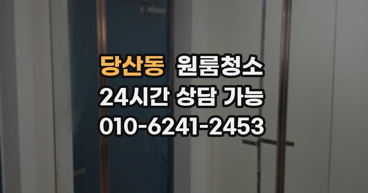 당산동 입주청소