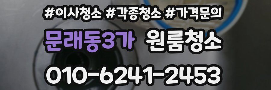 문래동3가 이사청소