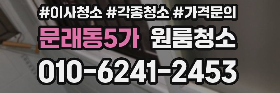 문래동5가 이사청소