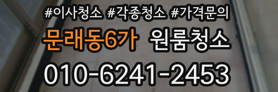 문래동6가 이사청소
