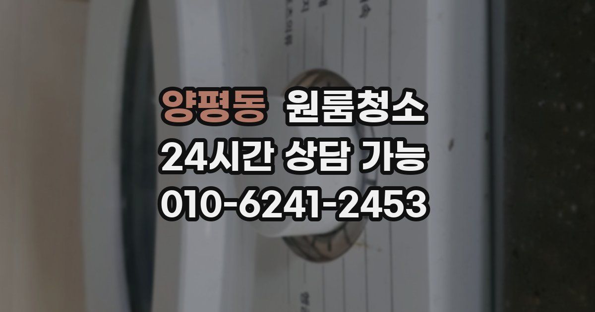 양평동 입주청소
