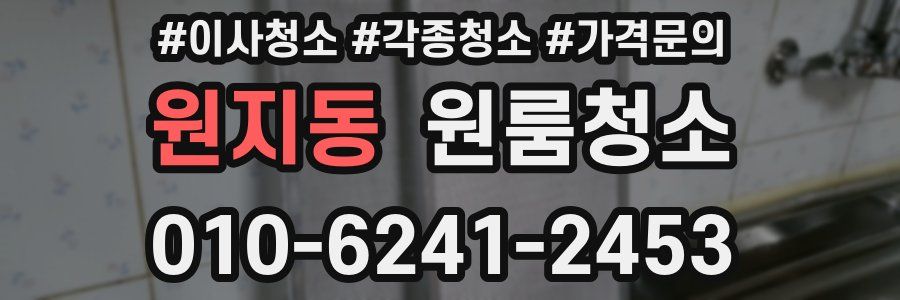 원지동 이사청소