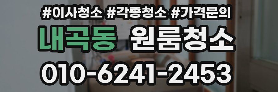 내곡동 이사청소