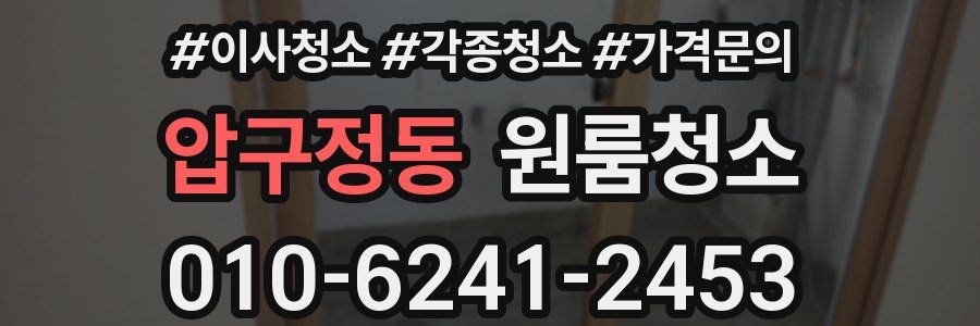 압구정동 이사청소